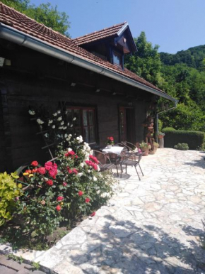 STUDIO APARTMAN HIŽICA